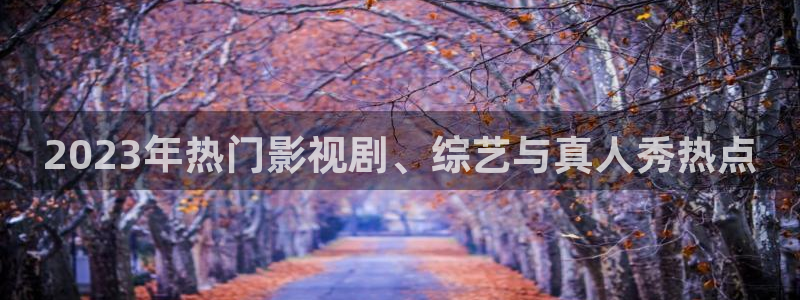 伊人 影院：2023年热门影视剧、综艺与真人秀热点