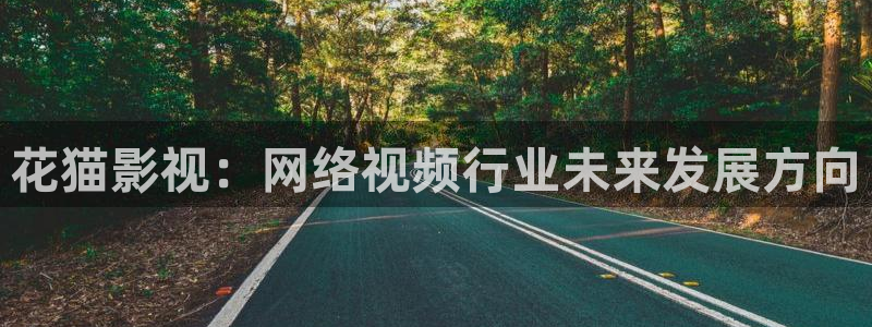 东京热影院伊人：花猫影视：网络视频行业未来发展方向