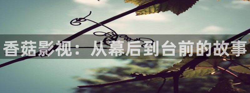 伊人久久青草视频：香菇影视：从幕后到台前的故事
