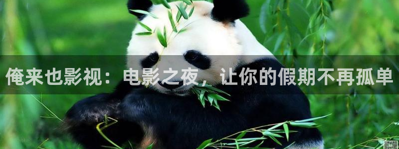 伊人久久大香蕉影院：俺来也影视：电影之夜，让你的假期不再孤单