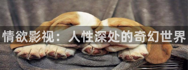 伊人影院8：情欲影视：人性深处的奇幻世界