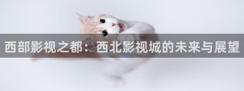 伊人影院2019：西部影视之都：西北影视城的未来与展望